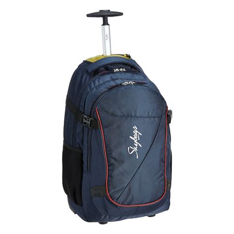 skybags travel backpack.